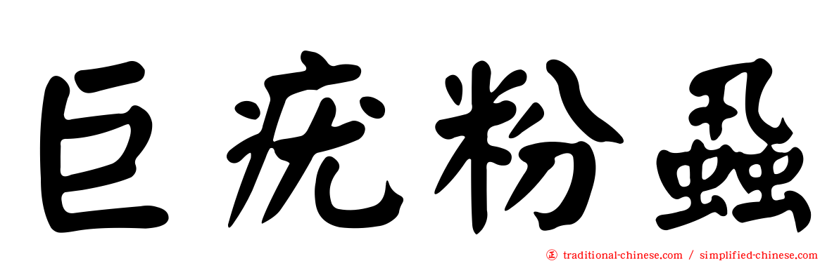 巨疣粉蝨