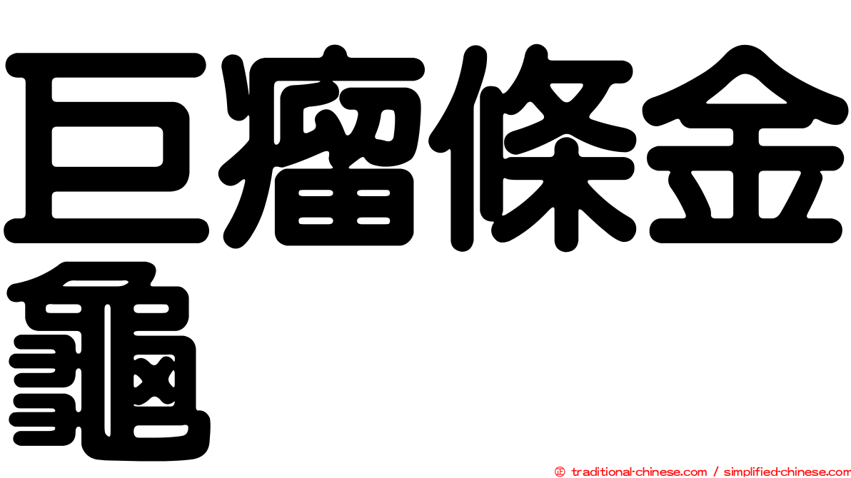 巨瘤條金龜
