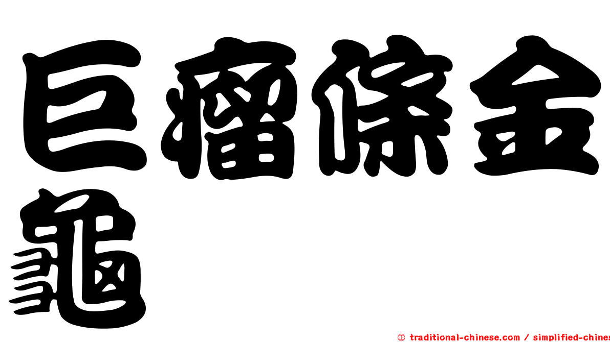 巨瘤條金龜