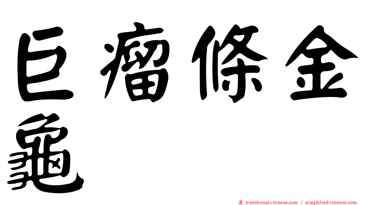 巨瘤條金龜