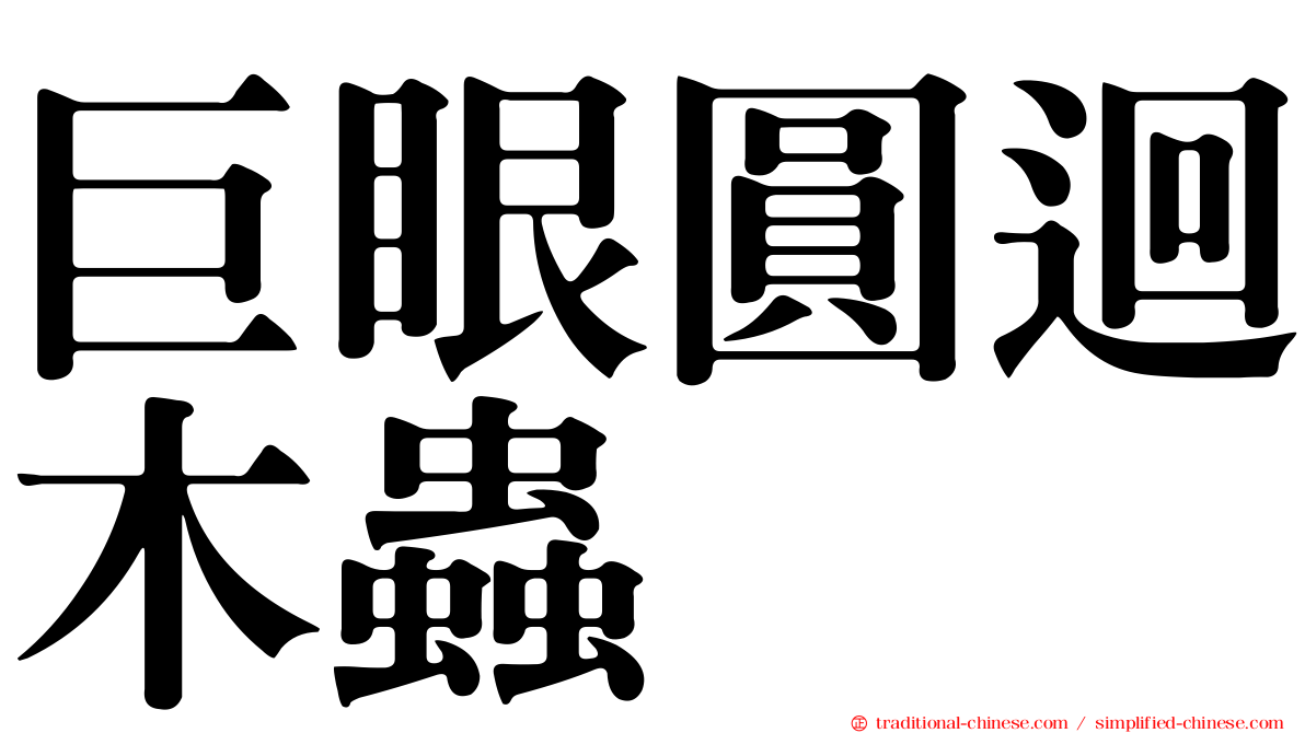巨眼圓迴木蟲