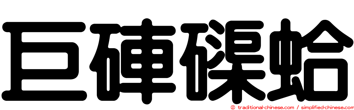 巨硨磲蛤