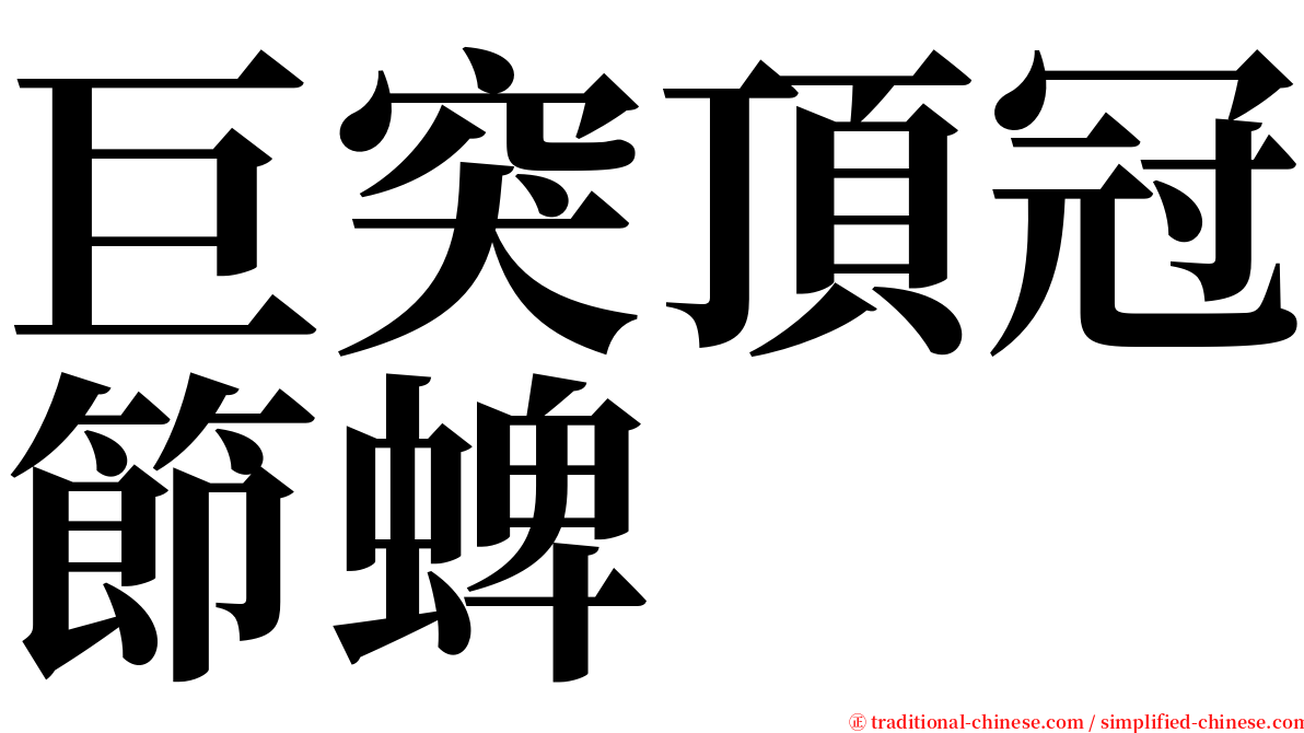 巨突頂冠節蜱 serif font