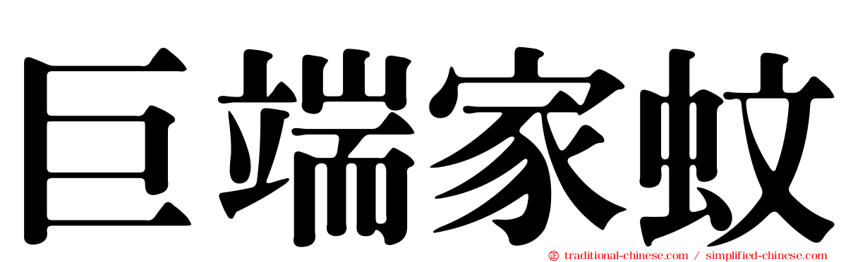 巨端家蚊