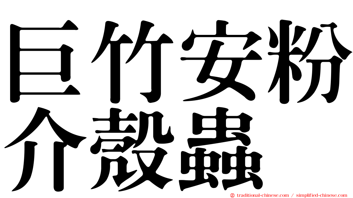 巨竹安粉介殼蟲