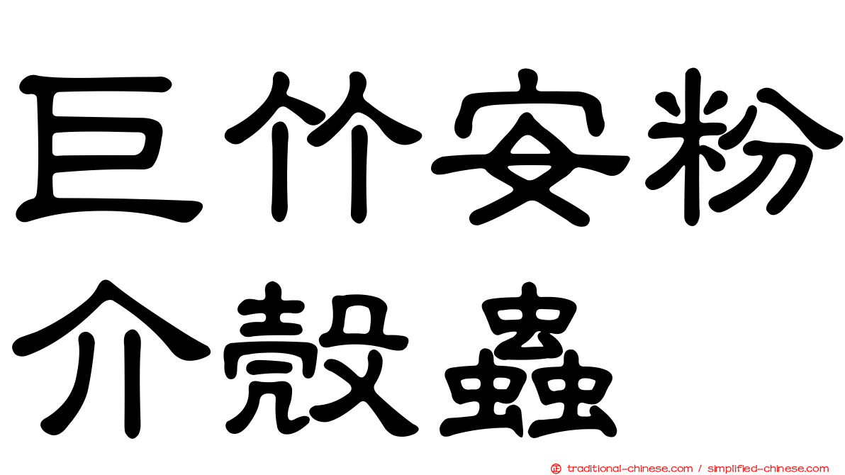 巨竹安粉介殼蟲