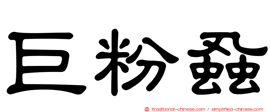 巨粉蝨