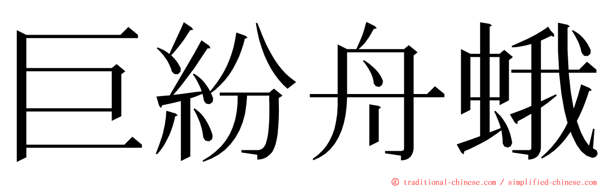巨紛舟蛾 ming font
