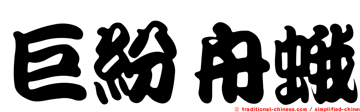 巨紛舟蛾