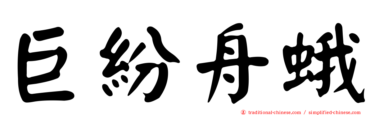 巨紛舟蛾