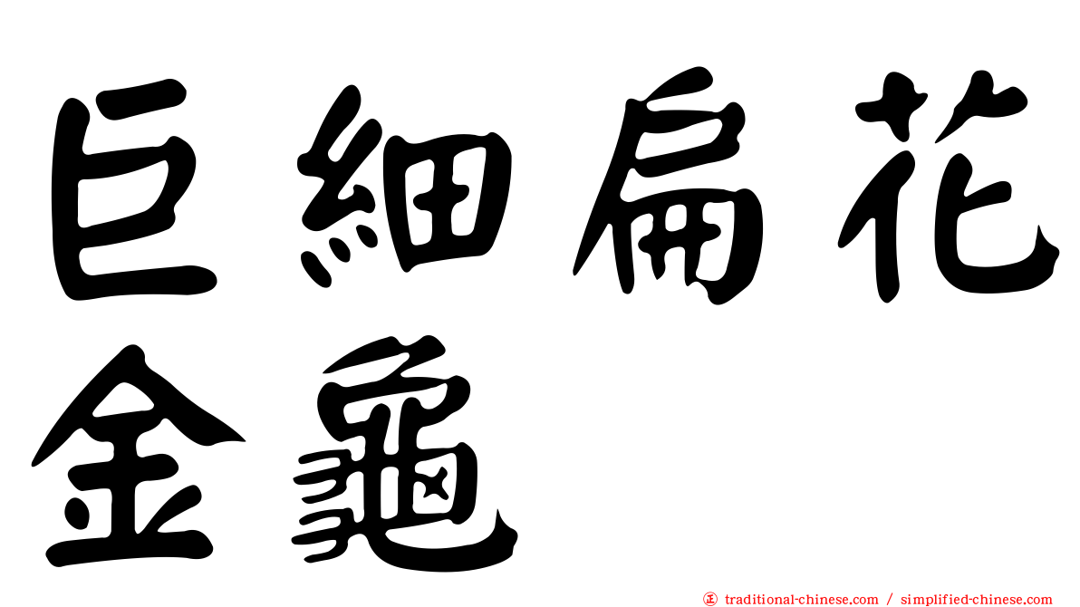 巨細扁花金龜