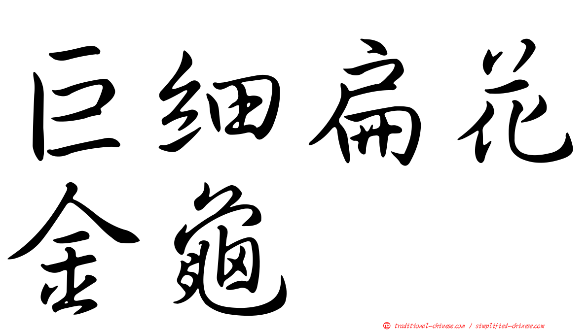 巨細扁花金龜