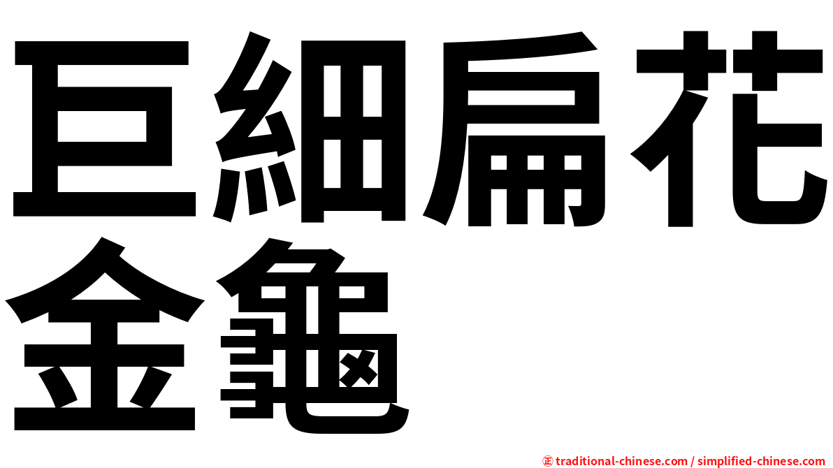 巨細扁花金龜