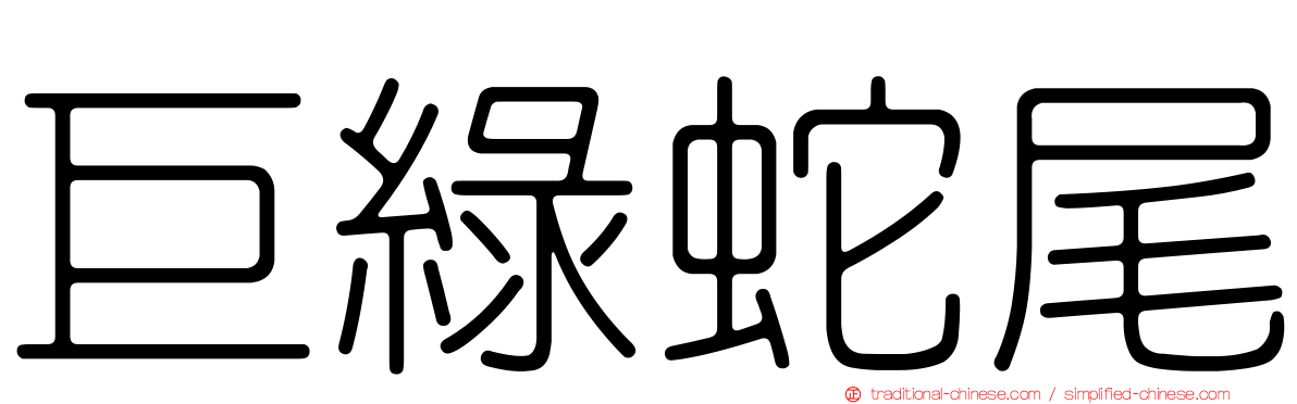 巨綠蛇尾
