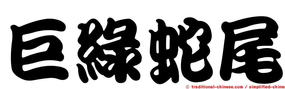 巨綠蛇尾