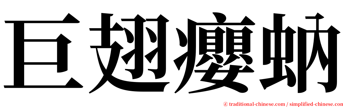 巨翅癭蚋 serif font