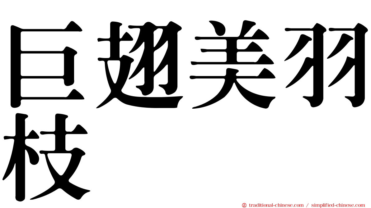 巨翅美羽枝