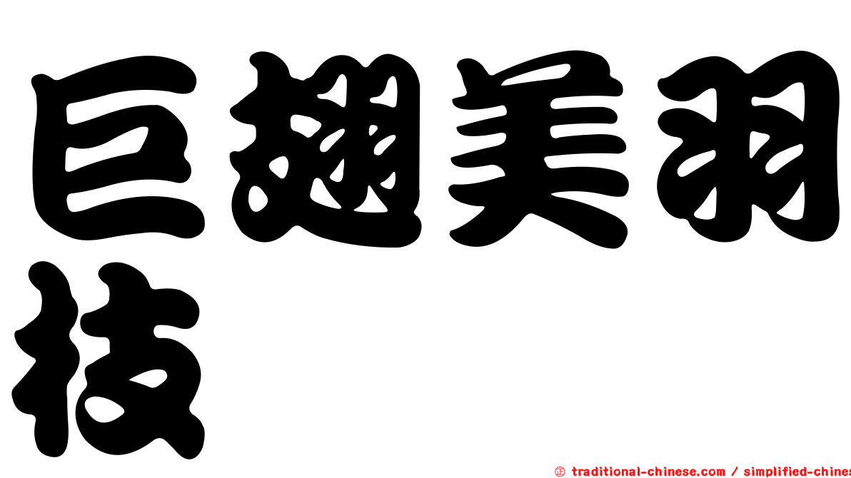 巨翅美羽枝