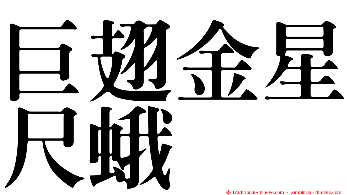 巨翅金星尺蛾