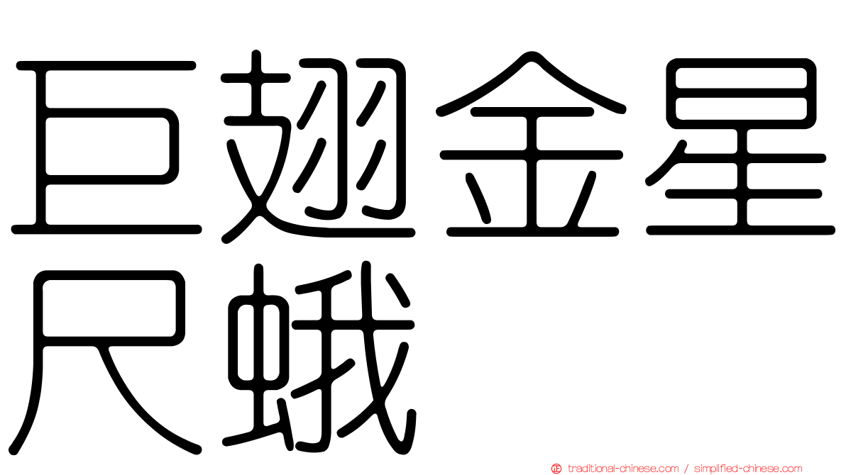 巨翅金星尺蛾