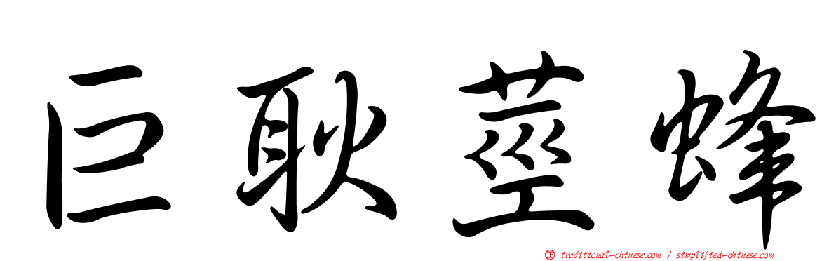 巨耿莖蜂