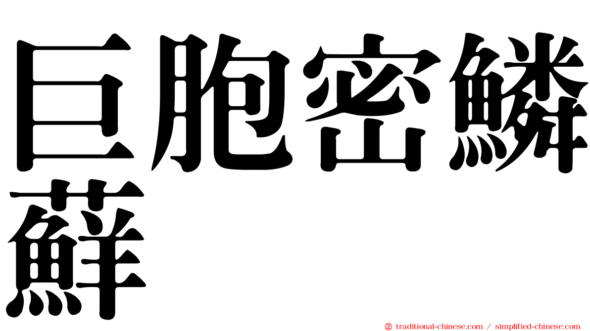 巨胞密鱗蘚