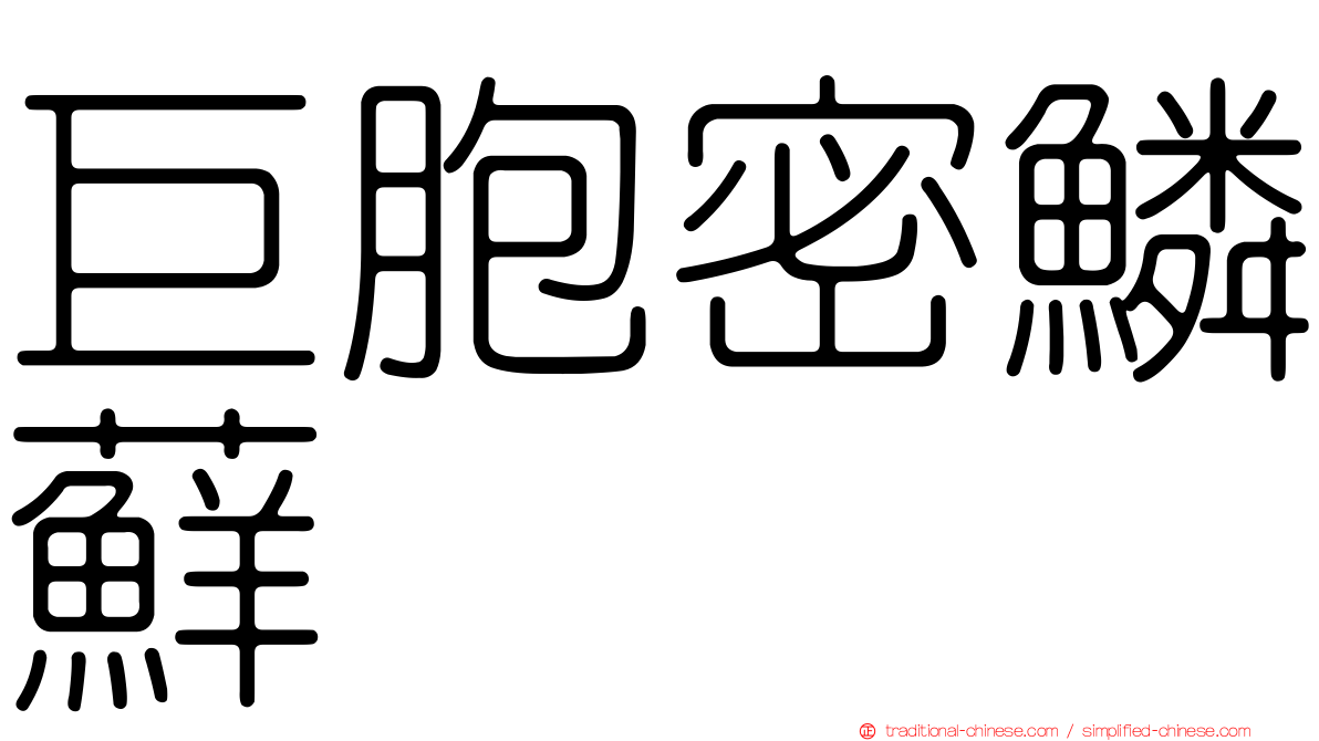 巨胞密鱗蘚