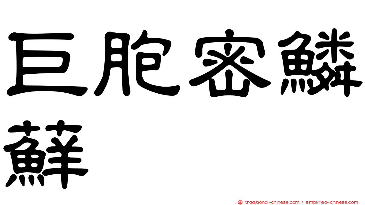 巨胞密鱗蘚