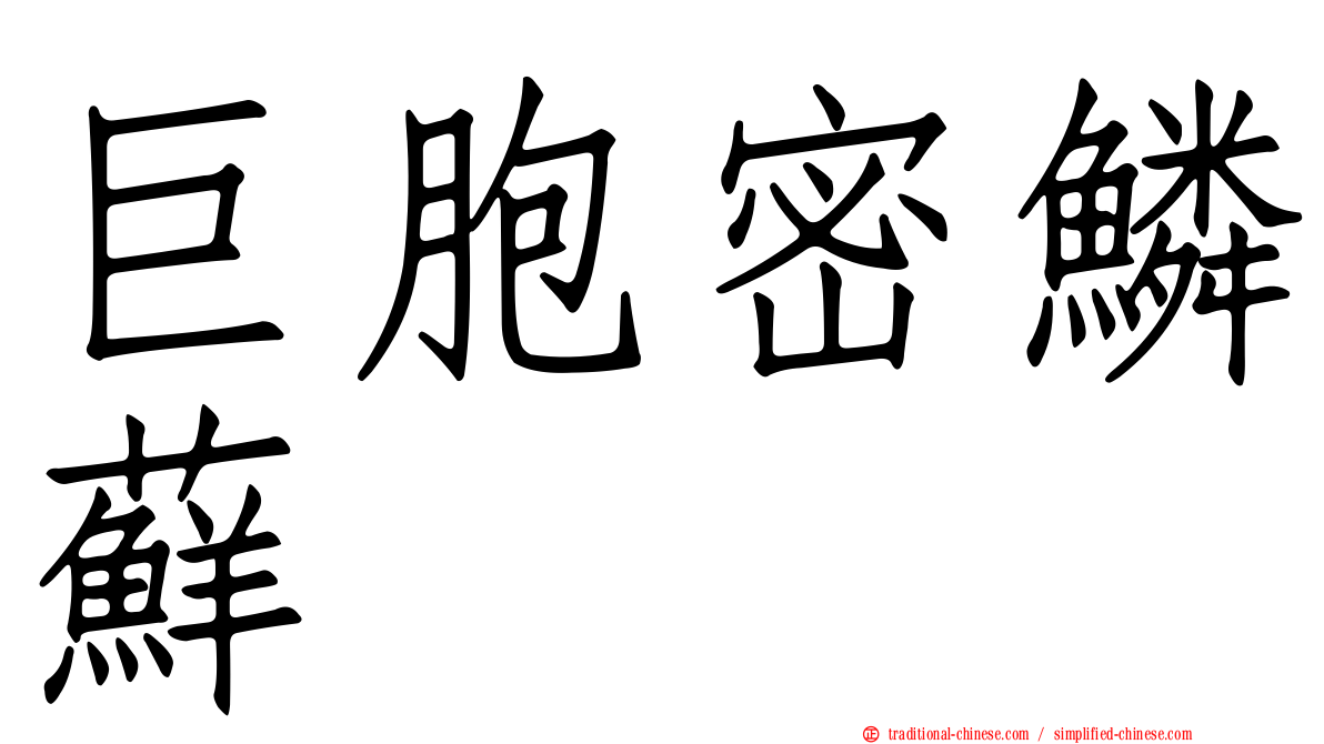 巨胞密鱗蘚