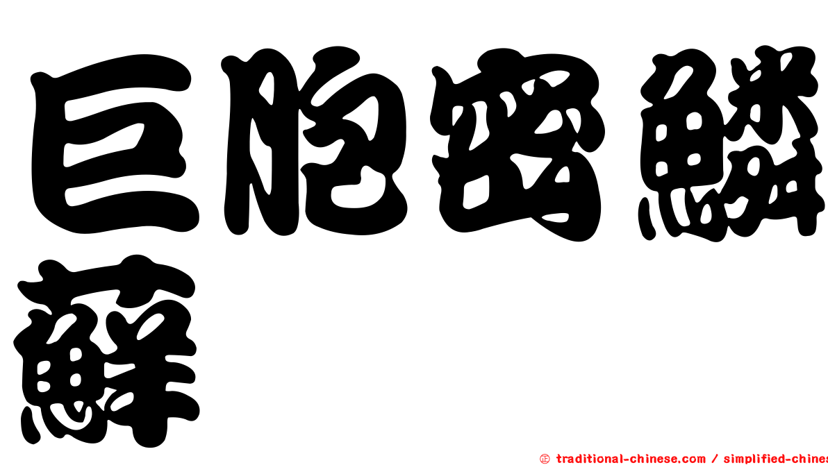 巨胞密鱗蘚
