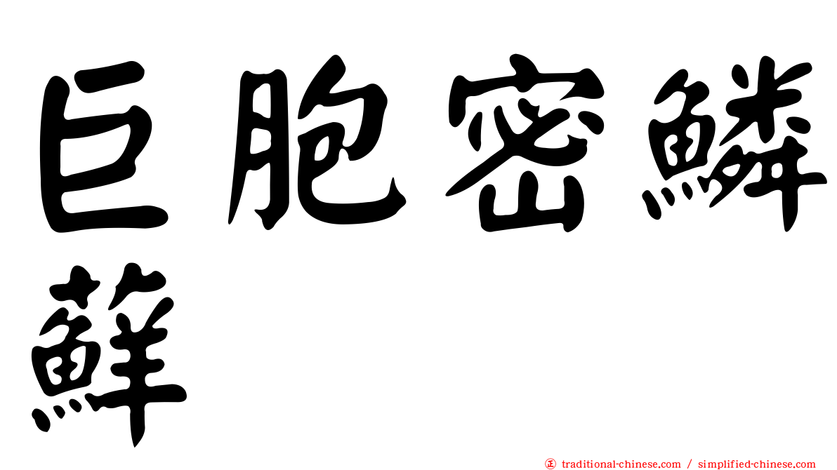 巨胞密鱗蘚
