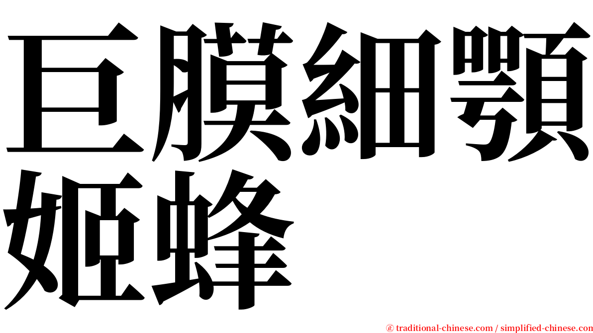 巨膜細顎姬蜂 serif font