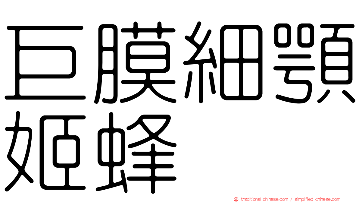 巨膜細顎姬蜂