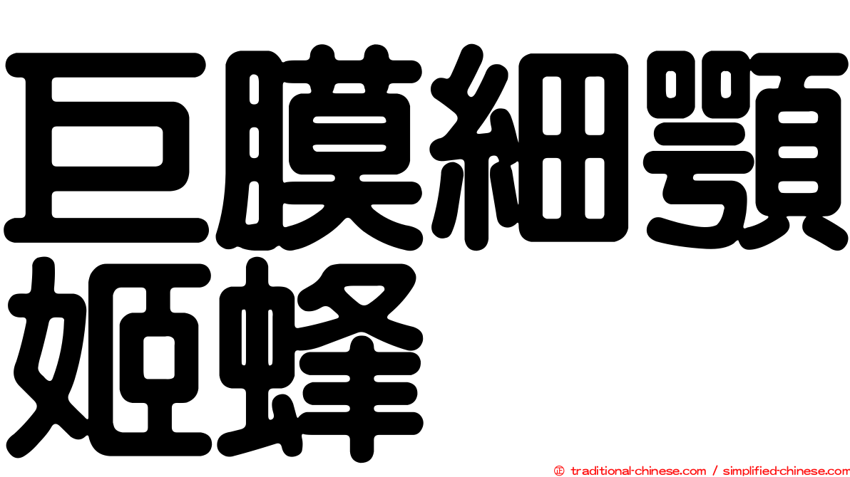 巨膜細顎姬蜂