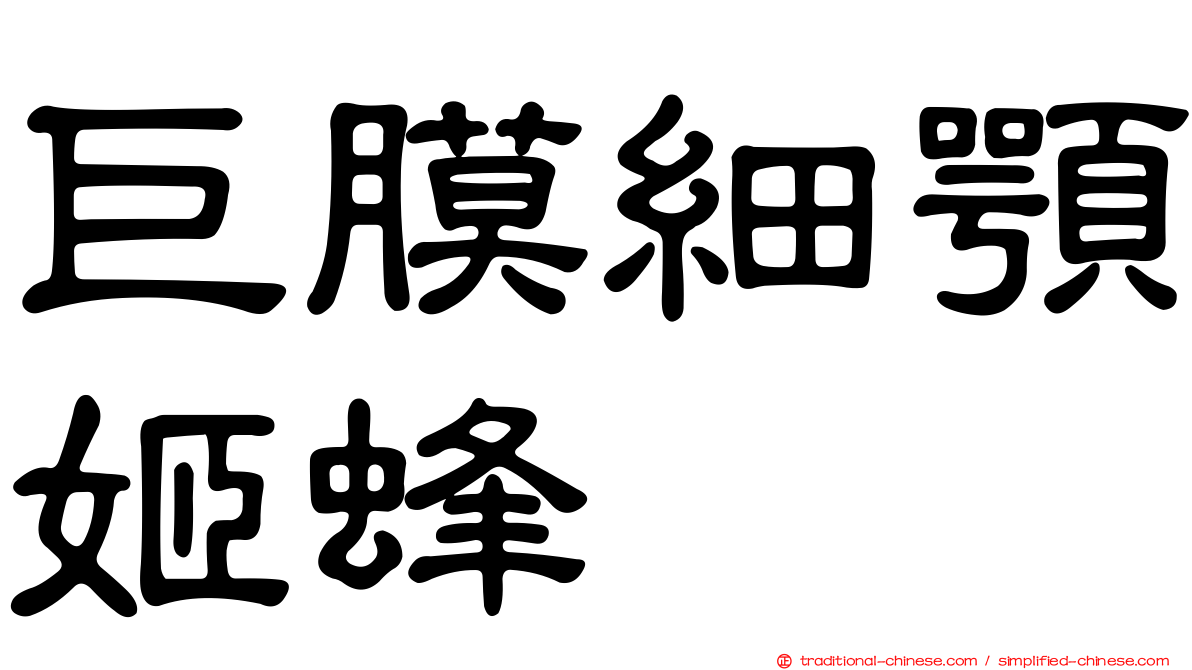 巨膜細顎姬蜂