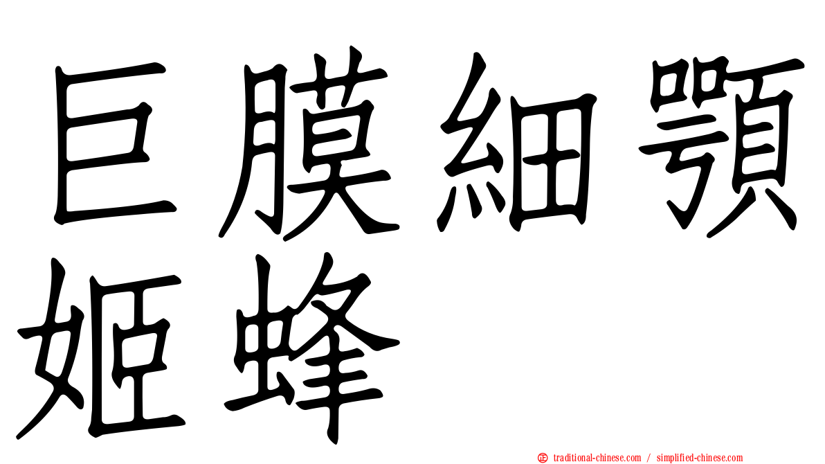 巨膜細顎姬蜂