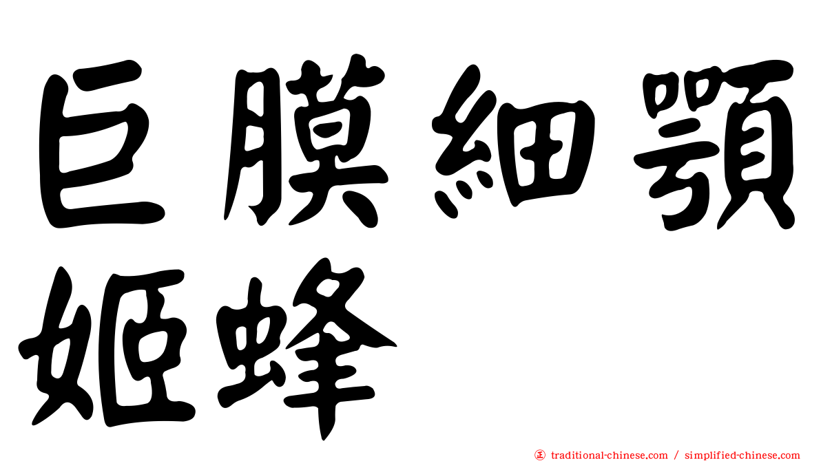 巨膜細顎姬蜂