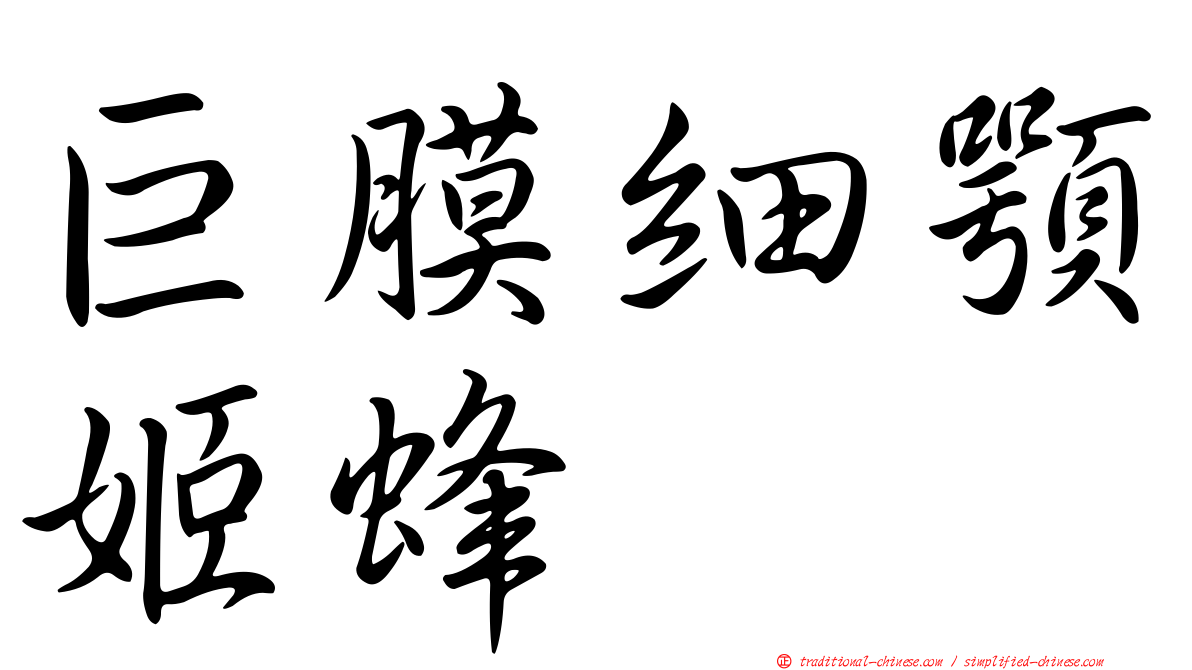 巨膜細顎姬蜂