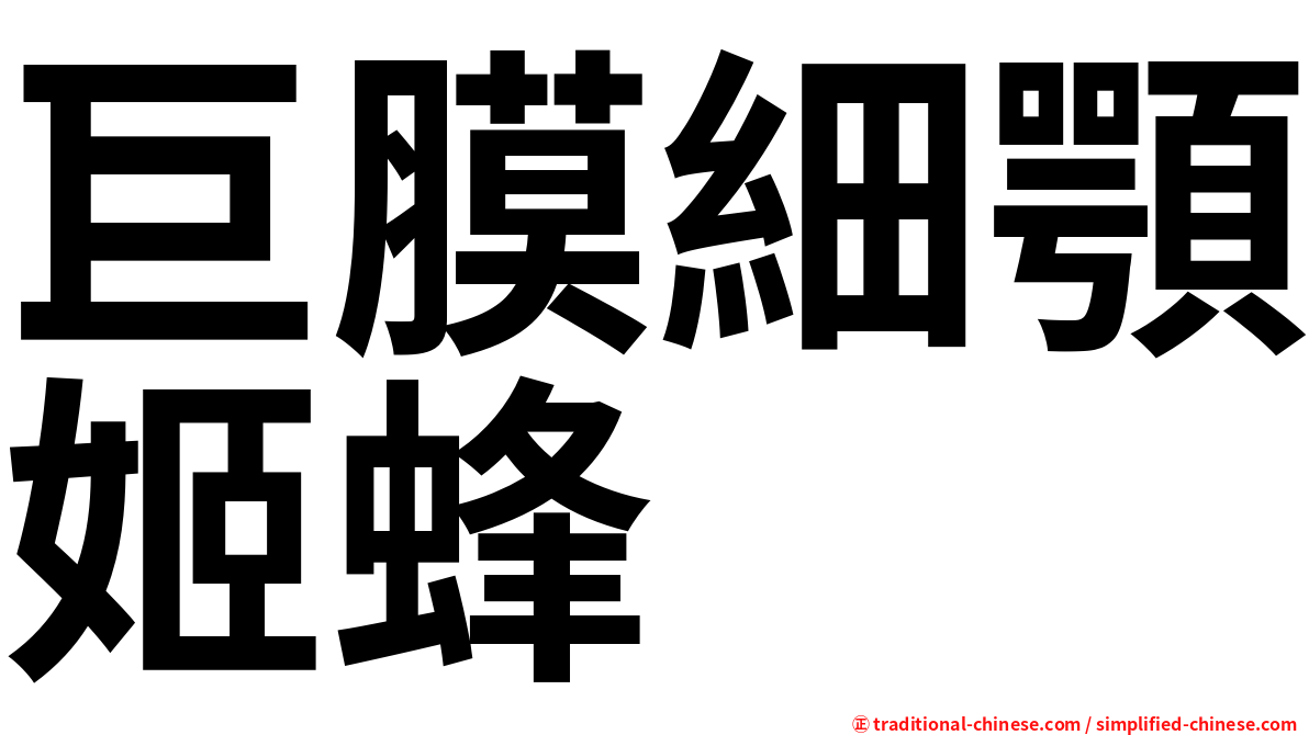 巨膜細顎姬蜂