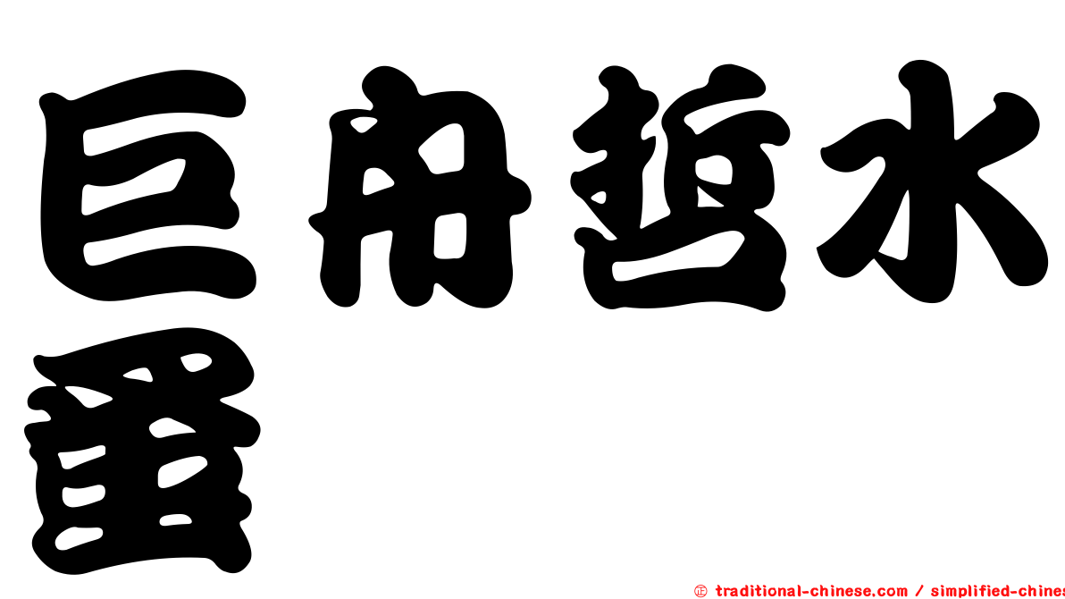 巨舟哲水蚤