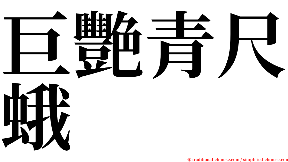 巨艷青尺蛾 serif font