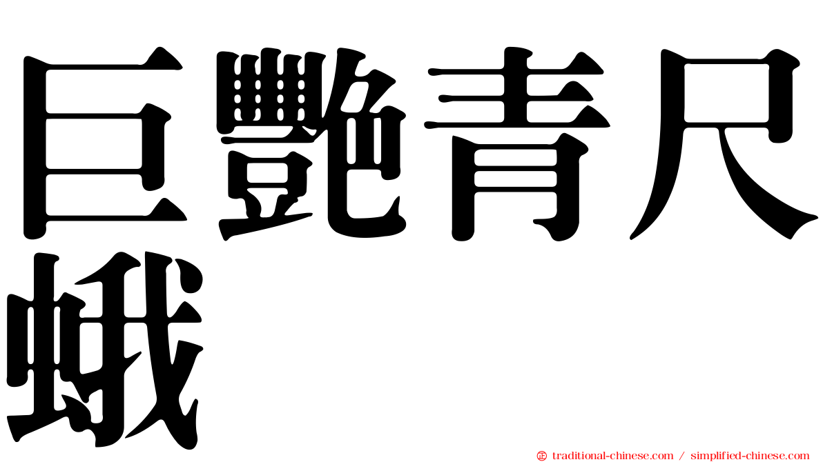 巨艷青尺蛾