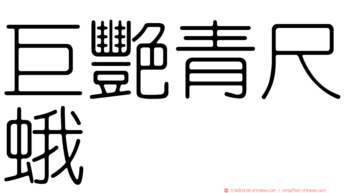 巨艷青尺蛾