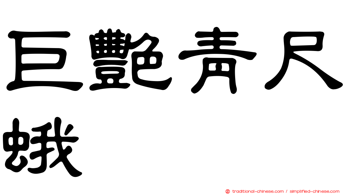 巨艷青尺蛾