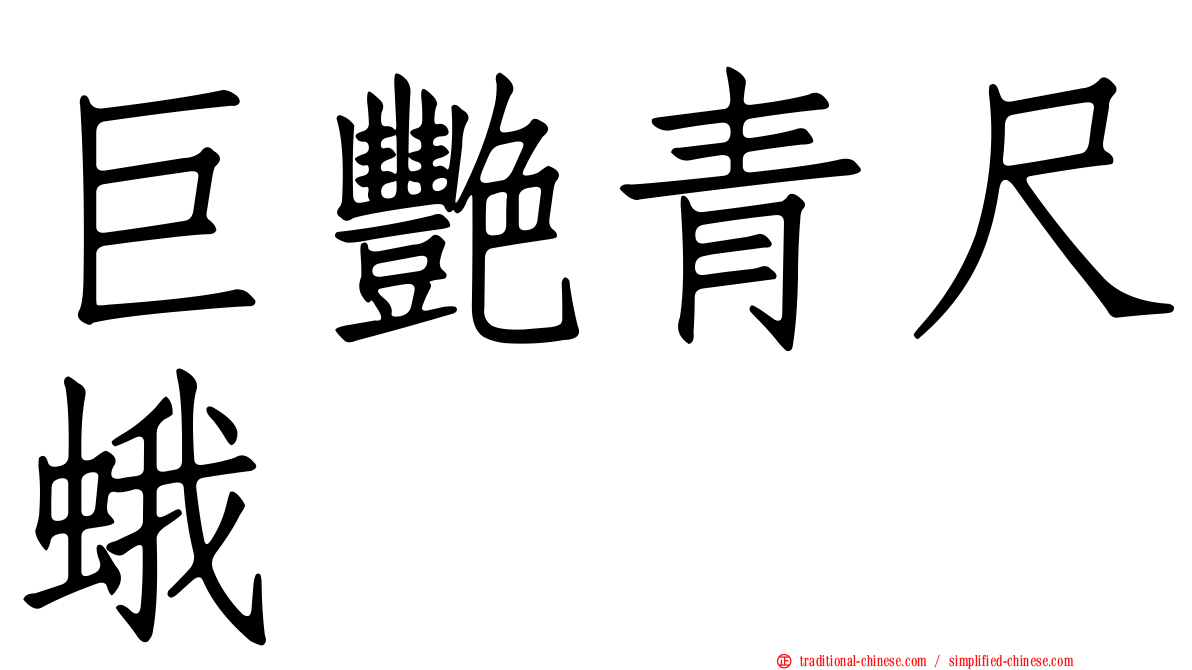 巨艷青尺蛾