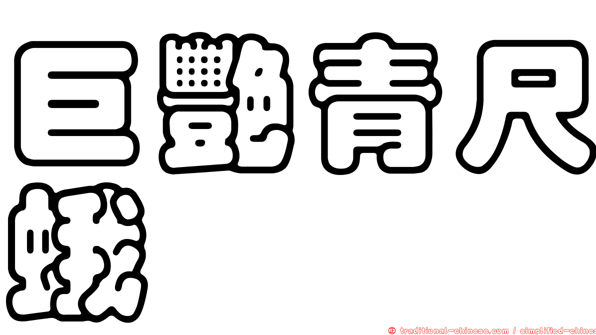 巨艷青尺蛾