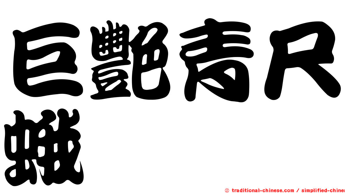 巨艷青尺蛾
