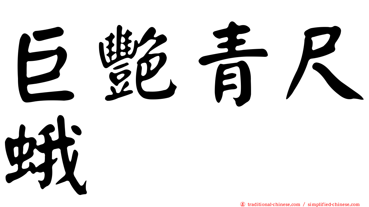 巨艷青尺蛾
