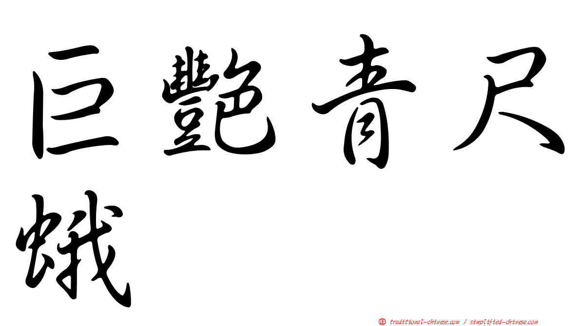 巨艷青尺蛾