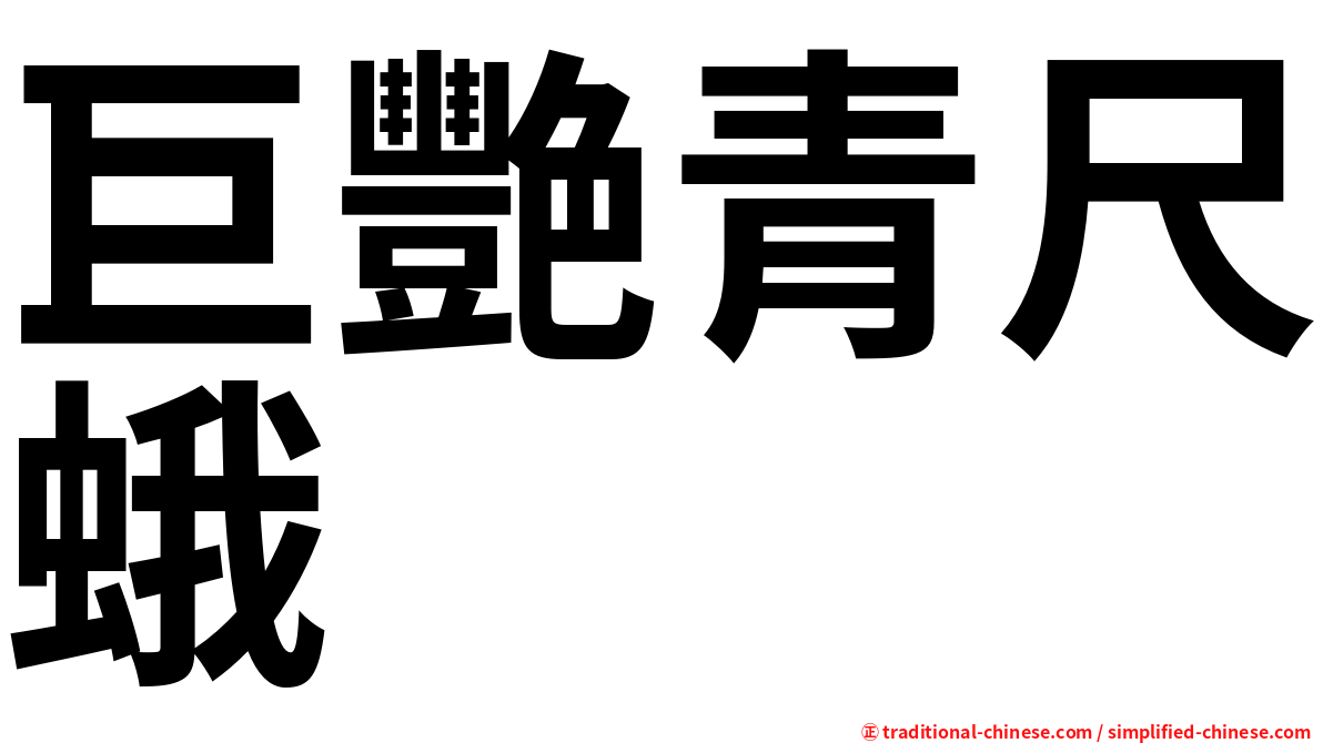 巨艷青尺蛾